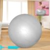 01_002f6d68-62fb-4ba3-86e3-4a09818e2b8e.jpg Heavy Duty Gym Ball Non-Slip Stability Ball with Foot Pump for Total Body Fitness