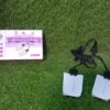 220V Portable Shoe Dryer – Electric, USB Intelligent Timing for Home, Hotel & Dorm