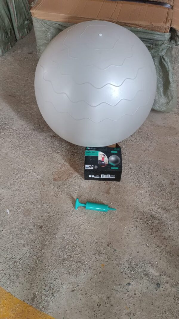 52faddae-4958-4286-a954-8f6e7f2bac8c.jpg Heavy Duty Gym Ball Non-Slip Stability Ball with Foot Pump for Total Body Fitness