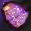 Lights-05.jpg LED Fairy String Lights and Decorative Lights for Bottle, DIY, Home & Festival Decor (1 Pc)