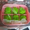 ada07e5d-04c4-4879-b4c6-2056819227e1.jpg Cavity Silicone Ice Cream and Popsicle Mold Tray (1 Set)