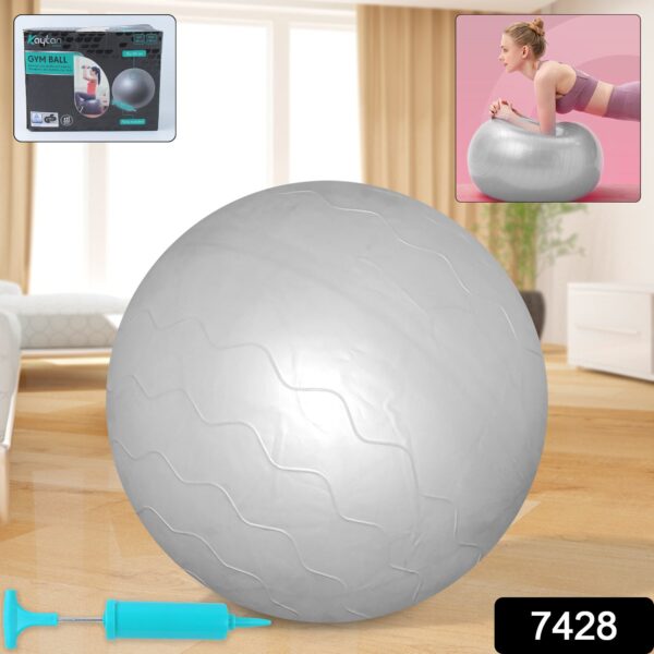 sku_f9013092-344e-4ef7-97c6-54104b4207a9.jpg Heavy Duty Gym Ball Non-Slip Stability Ball with Foot Pump for Total Body Fitness